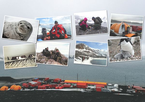 Vista de la base Gabriel de Castilla 