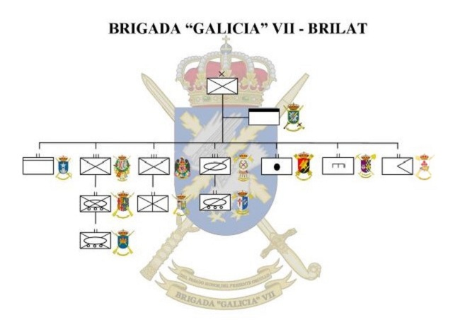ORGANIGRAMA