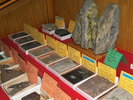 Coleción de minerales y fósiles (FOTO: Fuencisla de Julián)