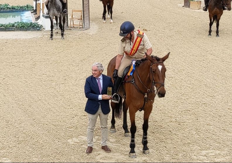 Mejor caballo anglo-árabe