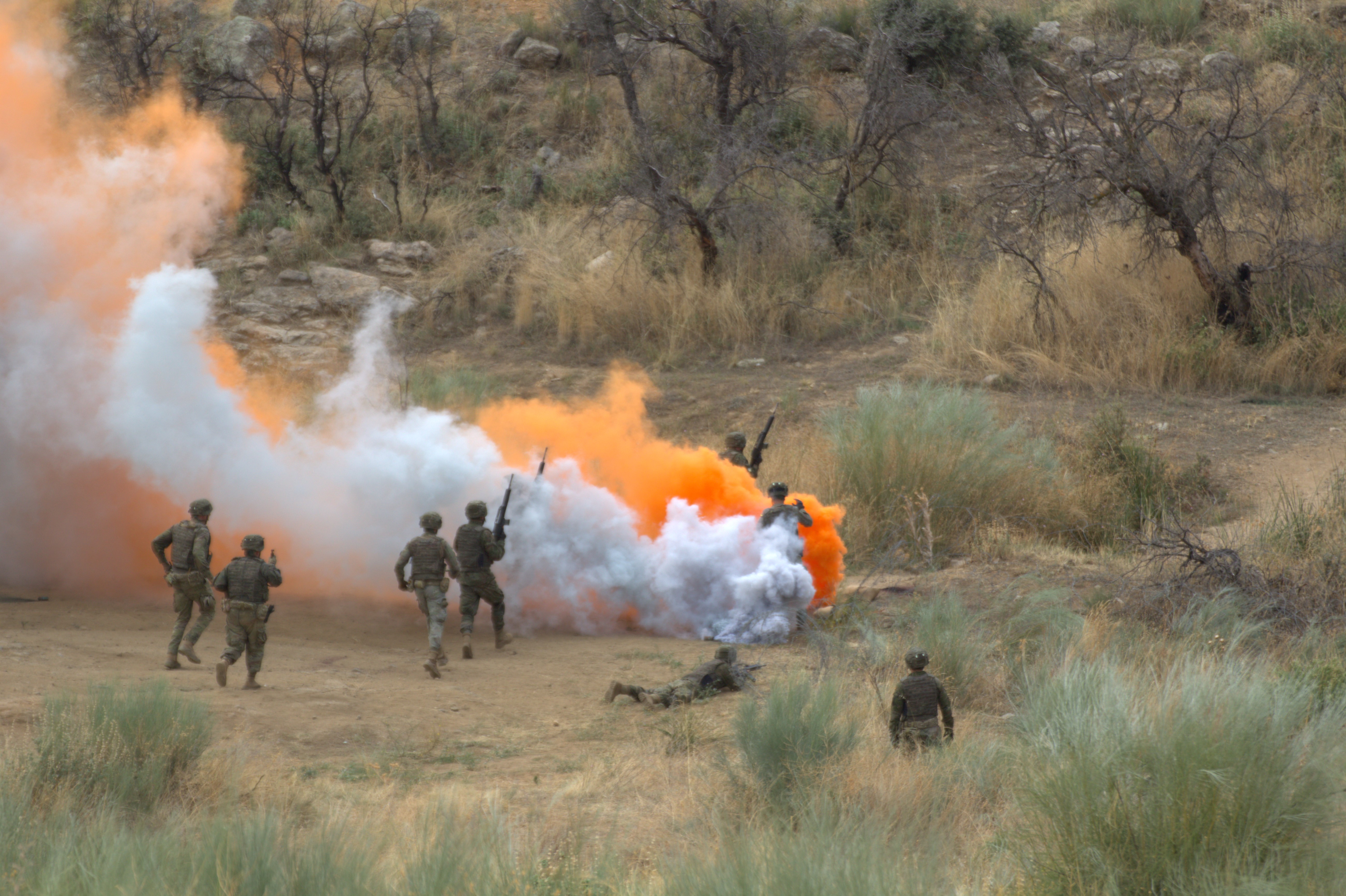 6. Ejercicio con fuego real (LFX)