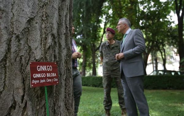 El consejero y el coronel frente al Gingko Biloba
