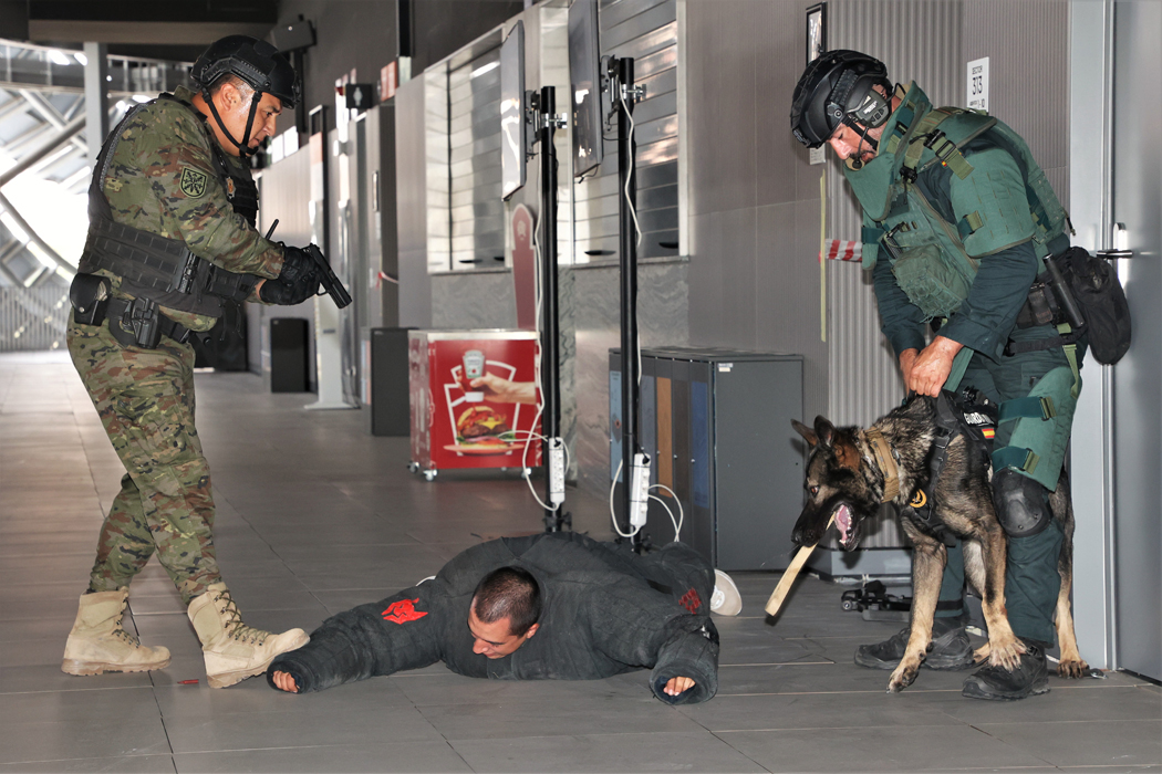 Unidades caninas militares y policiales 