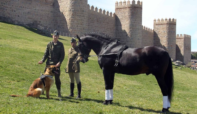 El cometido de este Servicio, dependiente del Ministerio de Defensa, sigue plenamente vigente siglo y medio después de su creación