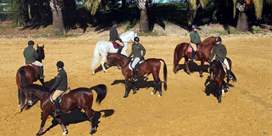 Al servicio de la sociedad