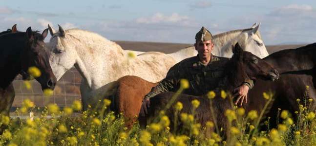 Una de las principales misiones del Servicio de Cría Caballar es la remonta