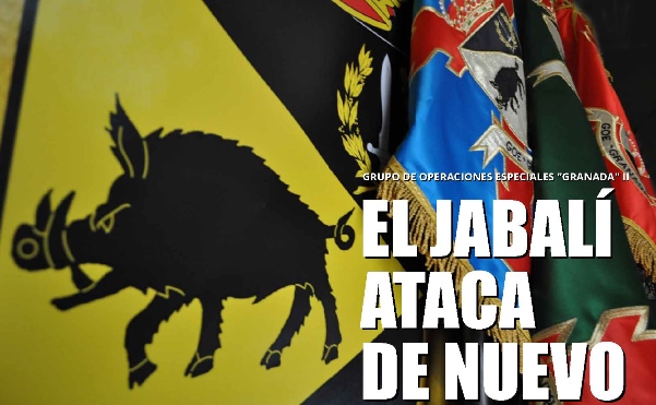 El jabali ataca de nuevo