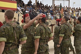 Entrega de Tarbush 