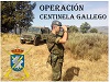 Operación Centinela Gallego 2015