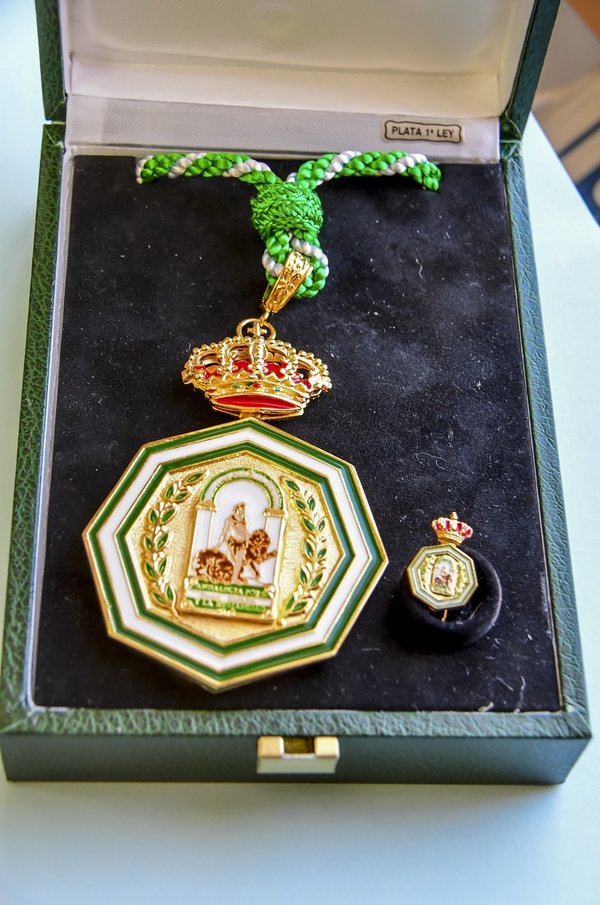 texto alternativo para ie 