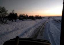 01_TORMENTAFILOMENA_270x_5