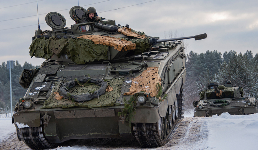 Brigada Guzman el Bueno X