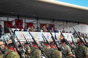 Desfile de la Fuerza