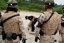 Curso Integral de Intervención Policial