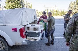 Proyecto Halcón peregrino (Foto OC Acinf)