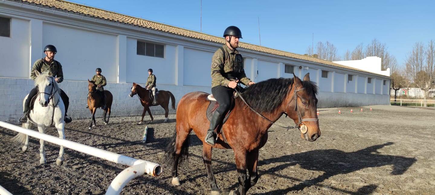 Instrucción ecuestre 18