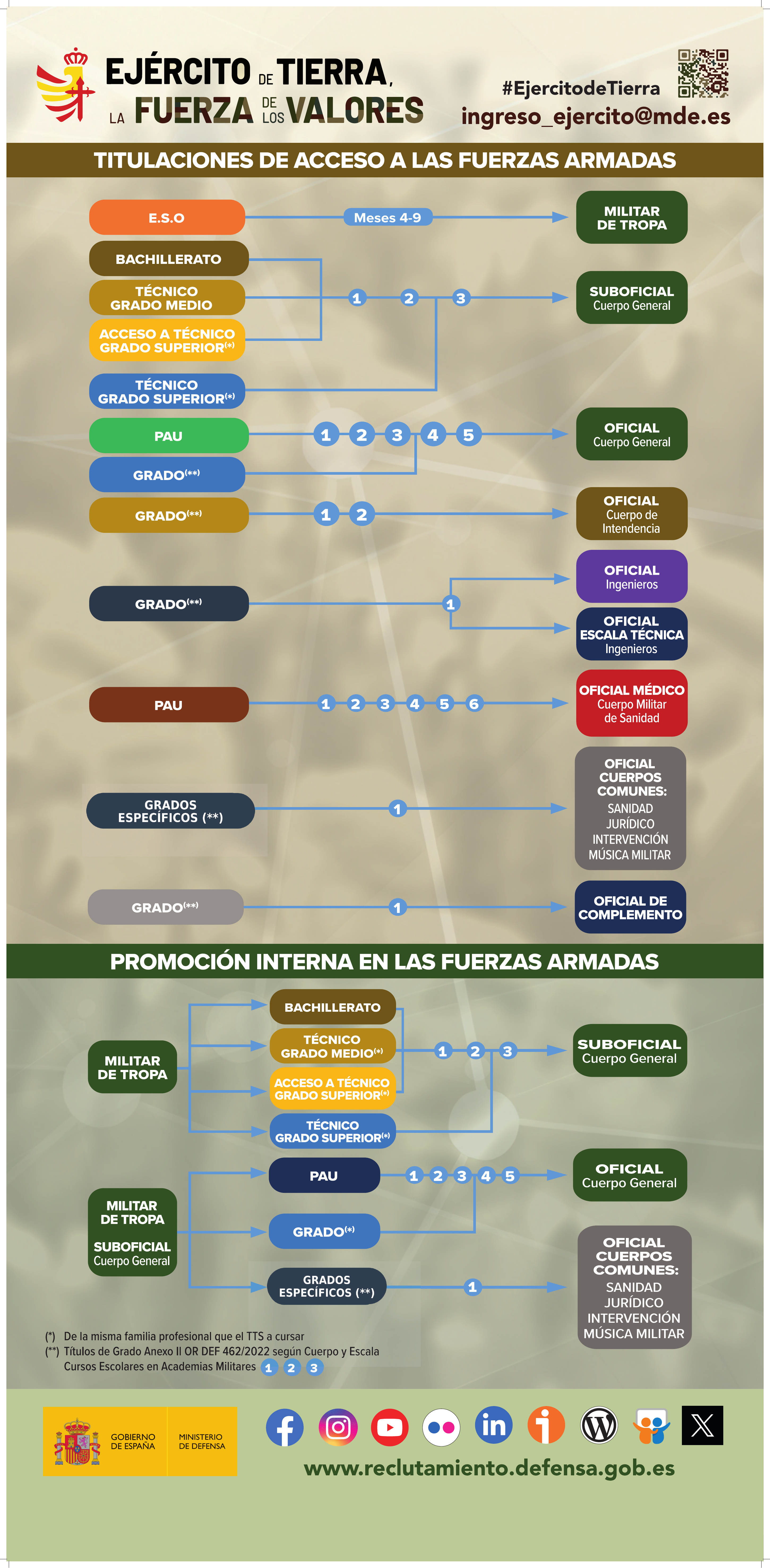 Infografía de acceso a la profesión militar