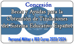 Concesión de las Becas y Ayudas para facilitar la Obtención de Titulaciones del Sistema Educativo Español