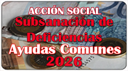 Subsanación de Deficiencias