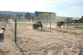 Participants in the event on the obstacle course 