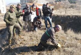 Momento de la liberación del águila