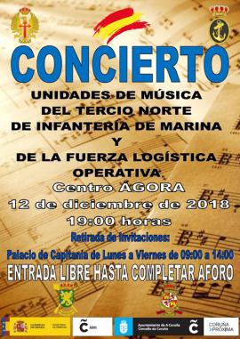 Cartel promocional del concierto