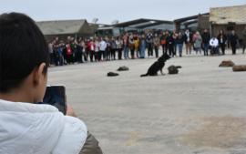 Demostración cinológica durante la visita