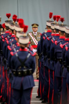 Momento de la parada militar del DFN 