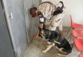 Searching lockers with the dog team