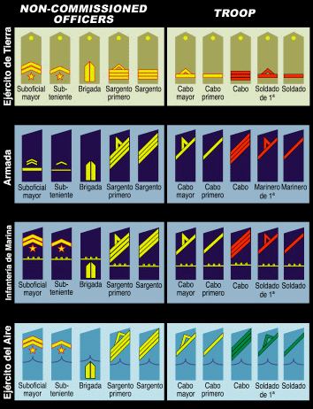 Non-Commissioned Officers and Troops insignias