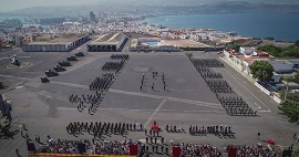 Fuerza en formación