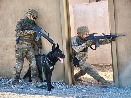 (Foto: Regimiento de Infanteria 