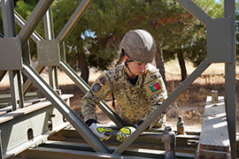 Regimento de Engenharia n.º 1