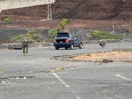 Unidad Cinologica BCG XVI trabajando sobre una amenaza en vehículo