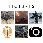 Enlace a la galería fotográfica del Ejército de Tierra