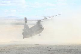 Se practicó la toma en polvo, como en Afganistán  