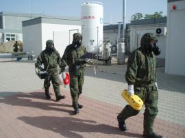 En el ejercicio se realizaron recogidas de muestras