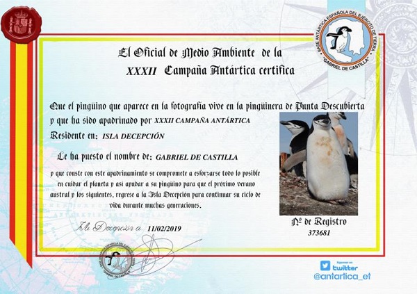 Diploma acreditativo de apadrinamiento