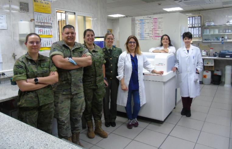 texto alternativo para ie 