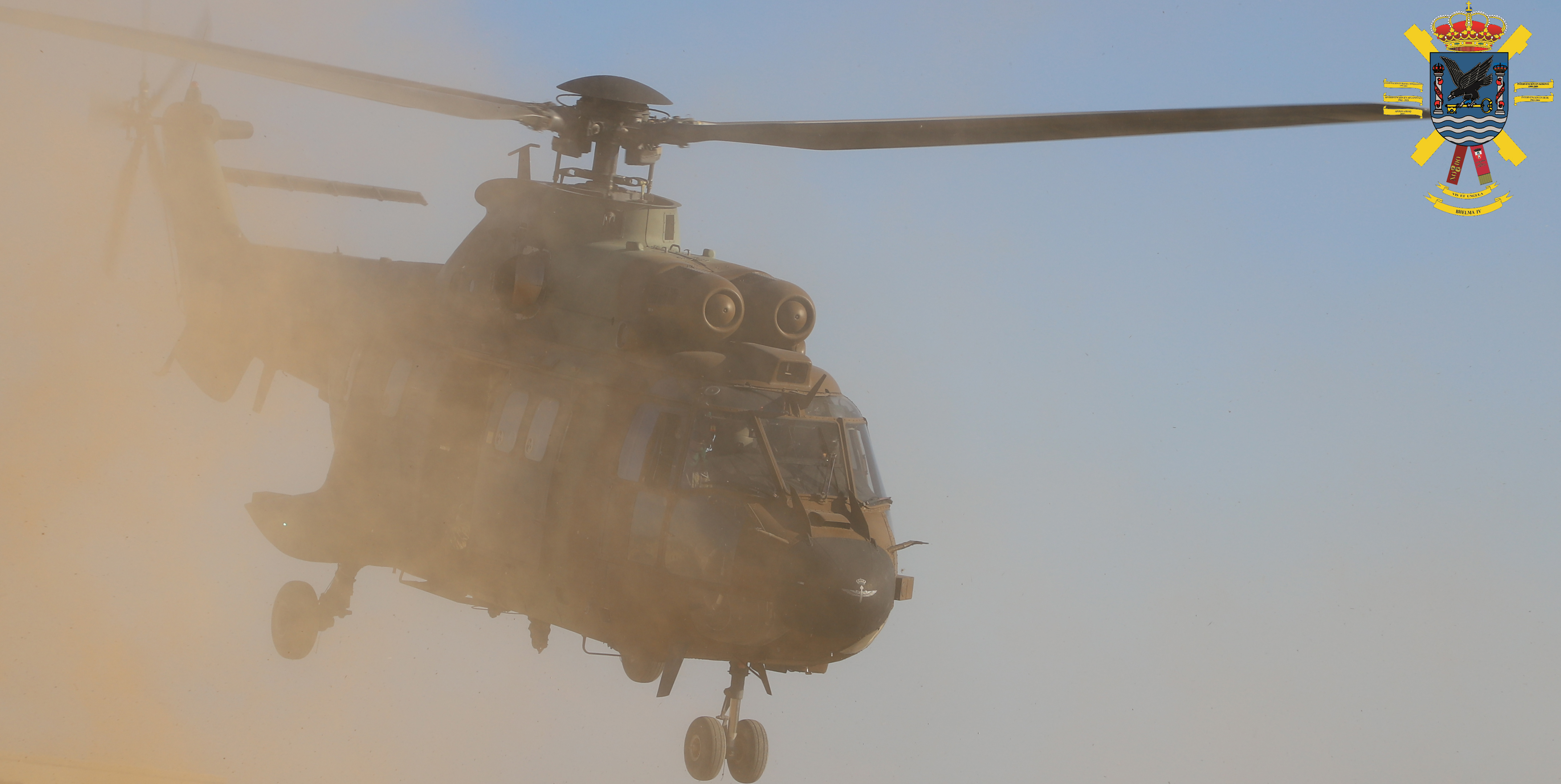 Fuerzas Aeromóviles del Ejército de Tierra