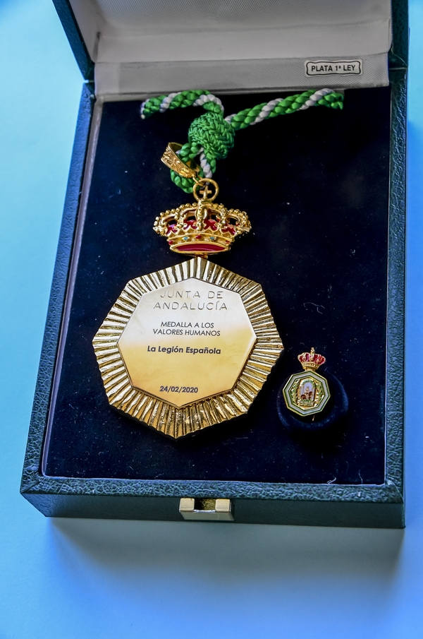 texto alternativo para ie 