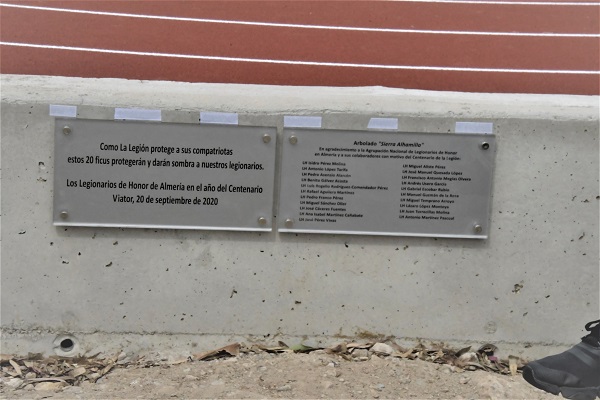 texto alternativo para ie 