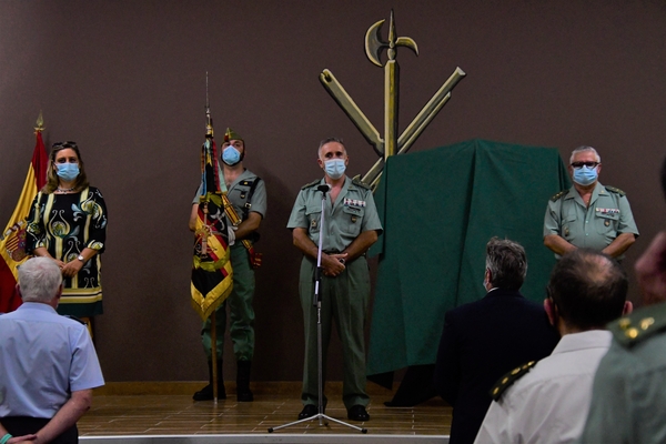 texto alternativo para ie 