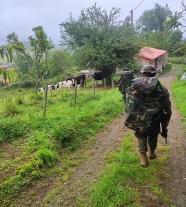 Marcha de endurecimiento.
