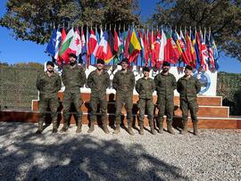 Componentes de la BRI X particpantes