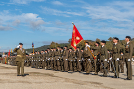 Coronel pasando revista a la fuerza.