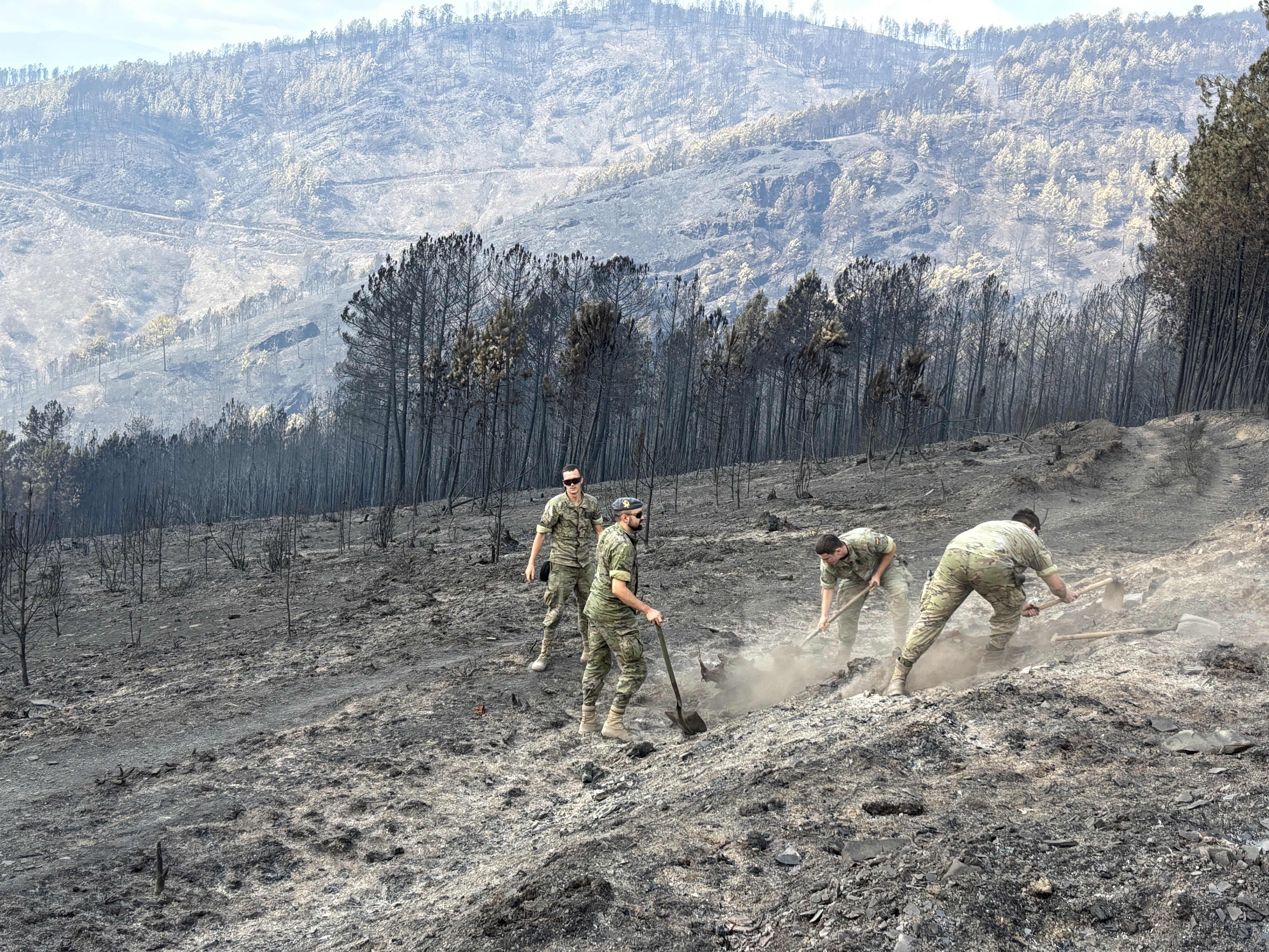 Lucha contra incendios 2025