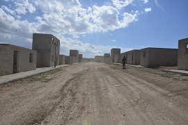 EL RI PALMA 47 EN CHINCHILLA