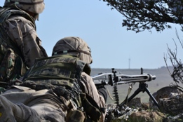 EL RIL PALMA 47 EN CHINCHILLA