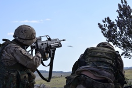 EL RIL PALMA 47 EN CHINCHILLA